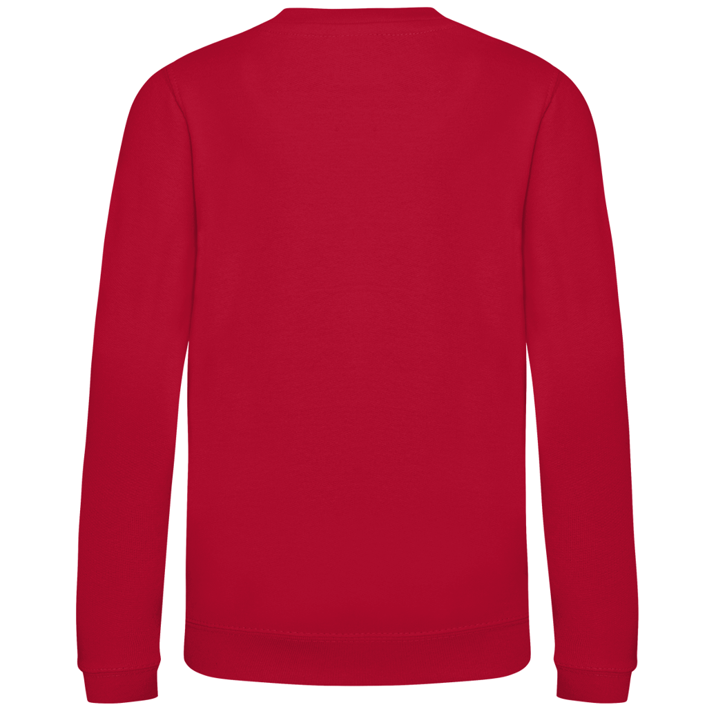 Kinder Sweatshirt Willi-Beerenstark
