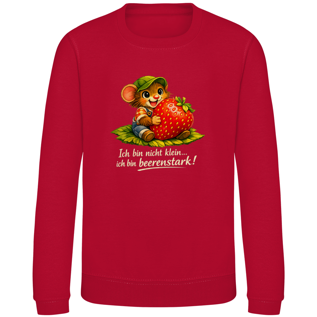 Kinder Sweatshirt Willi-Beerenstark