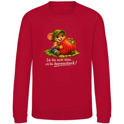Kinder Sweatshirt Willi-Beerenstark