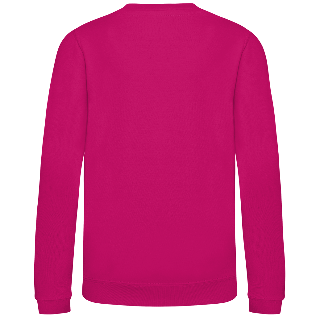 Kinder Sweatshirt Willi-Beerenstark