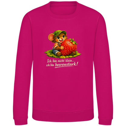 Kinder Sweatshirt Willi-Beerenstark