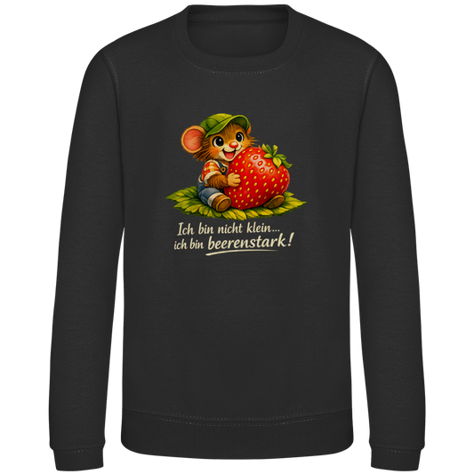 Kinder Sweatshirt Willi-Beerenstark
