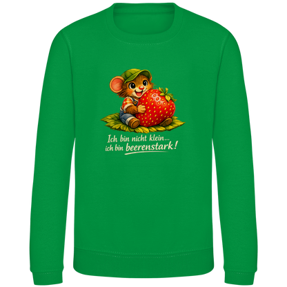 Kinder Sweatshirt Willi-Beerenstark