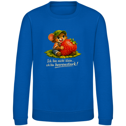 Kinder Sweatshirt Willi-Beerenstark